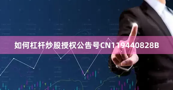 如何杠杆炒股授权公告号CN119440828B