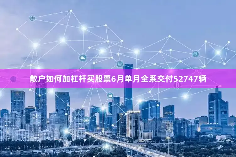 散户如何加杠杆买股票6月单月全系交付52747辆