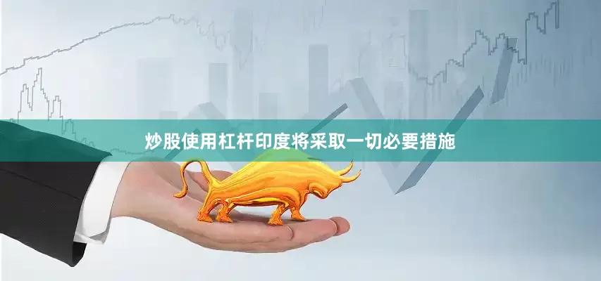 炒股使用杠杆印度将采取一切必要措施