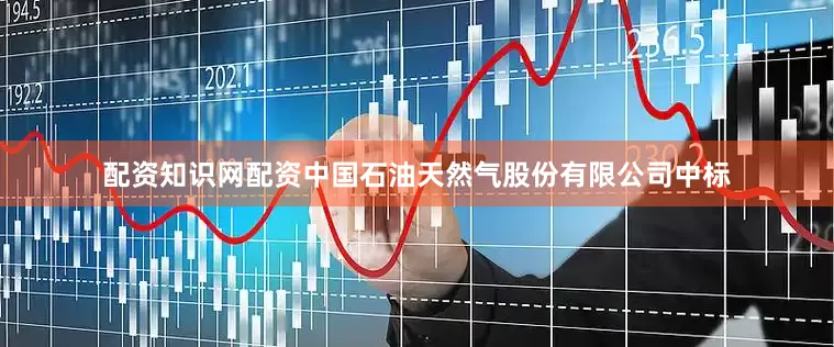 配资知识网配资中国石油天然气股份有限公司中标