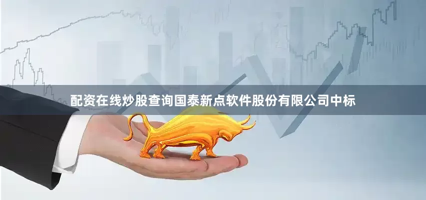 配资在线炒股查询国泰新点软件股份有限公司中标